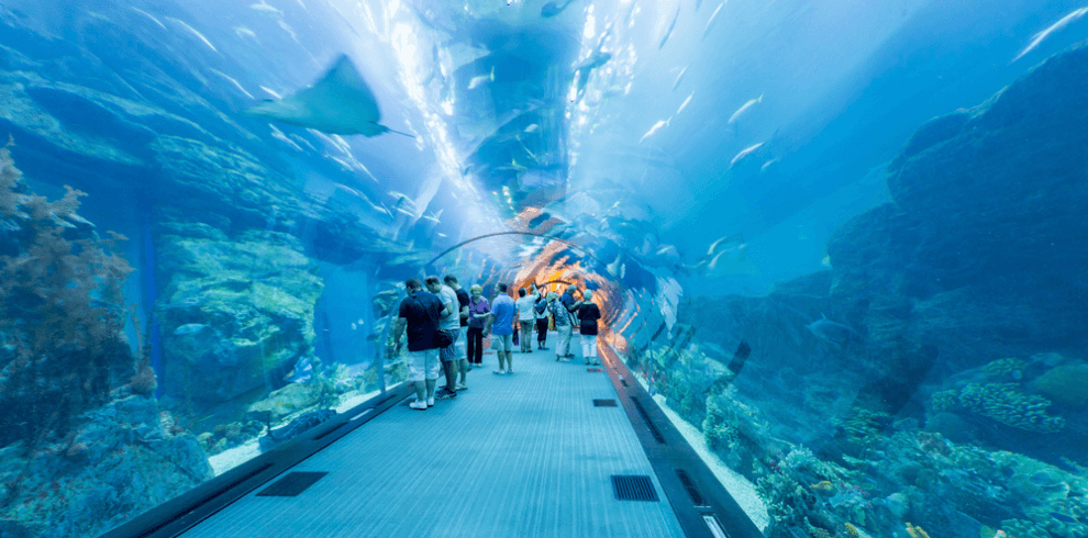 dubai aquarium and underwater zoo